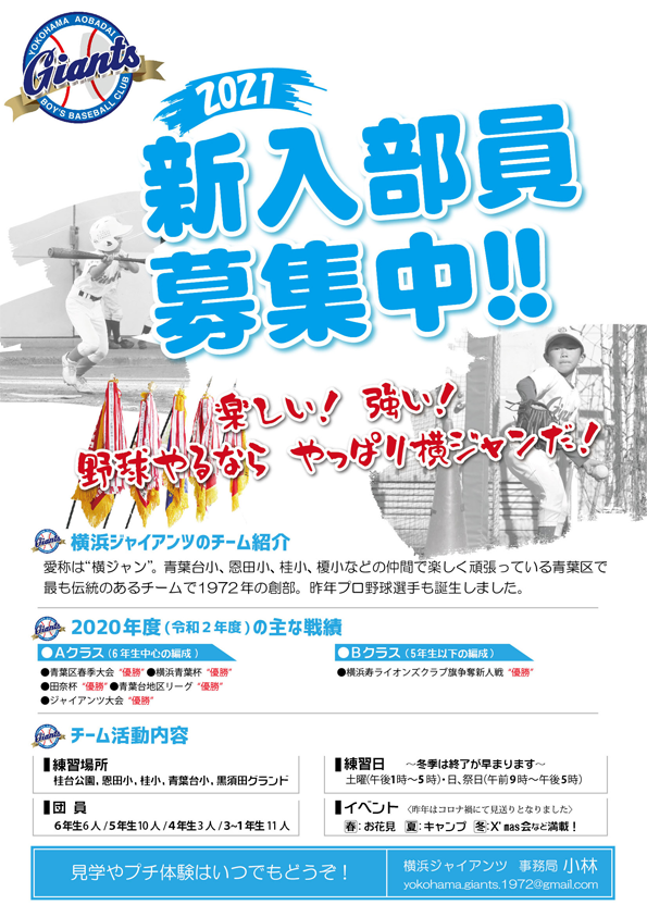 本年の戦績 青葉区の少年野球 横浜ジャイアンツ