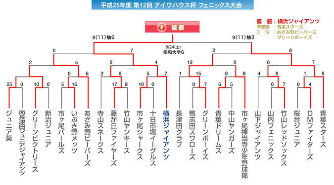 2013_フェニックス杯