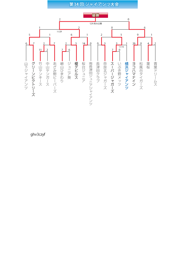 第34回ジャイアンツ大会